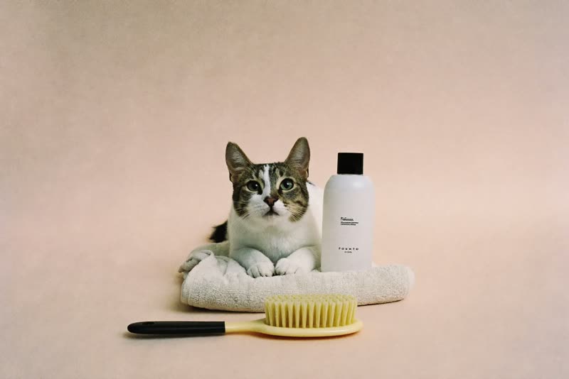 A towel, slicker brush and plain bottle arranged on a pastel surface